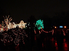 105 Toledo Zoo Light Show [2008 Dec 27]